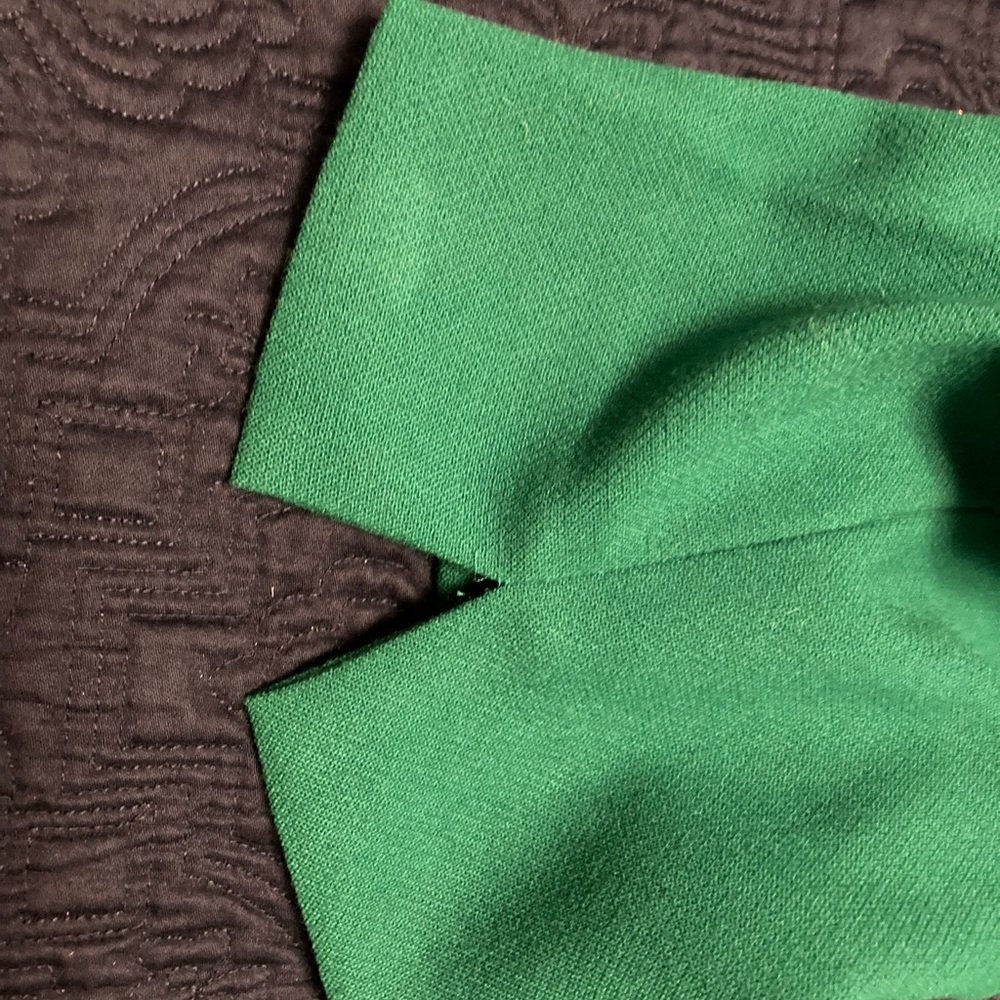 Fully Lined Winter White Pants. Will Include Gree… - image 8